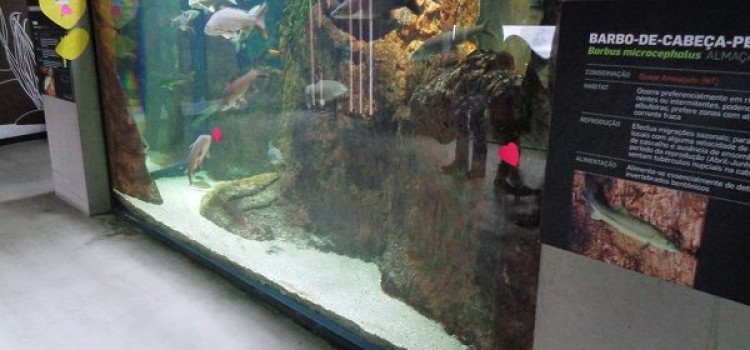 Mora River Aquarium, Flúviario de Mora, in Mora Mora River Aquarium, Flúviario de Mora, in Mora